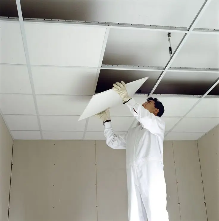 ceiling & Partition